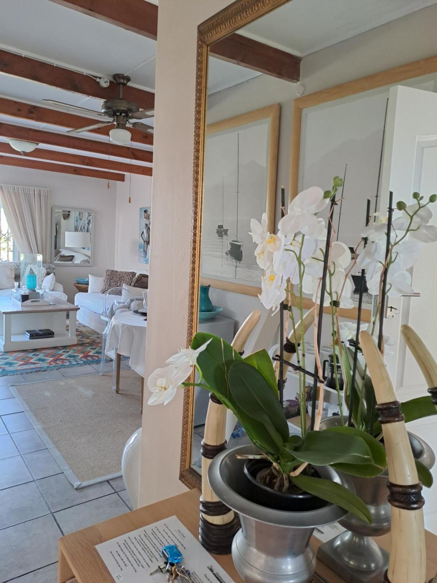 Milky Way Executive Suite Hermanus Dış mekan fotoğraf